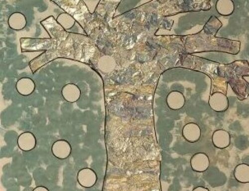 Nella Sezione Primavera… è arrivato l’inverno!